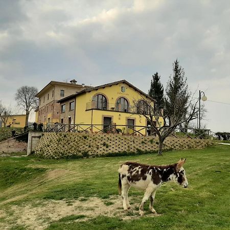 Agriturismo Antica Corte Montatteglia Exteriér fotografie