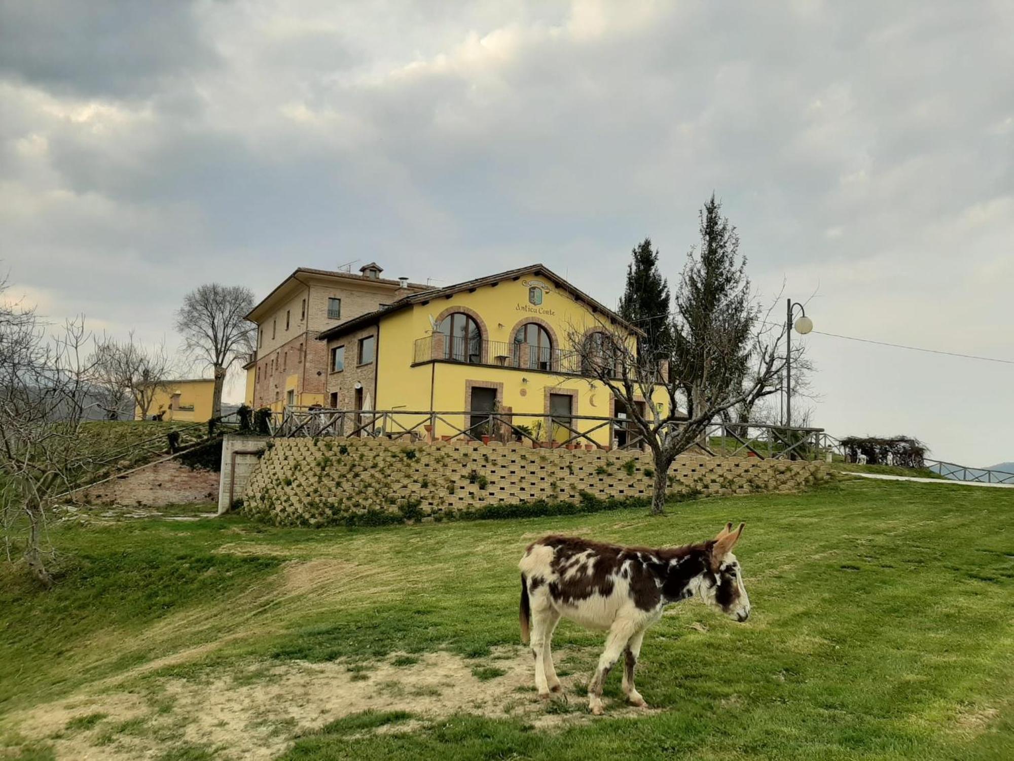 Agriturismo Antica Corte Montatteglia Exteriér fotografie