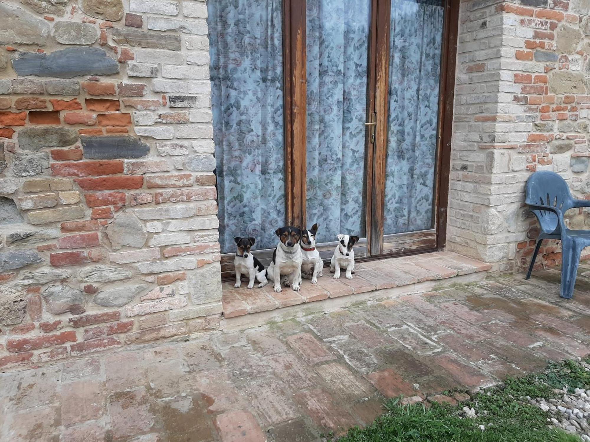 Agriturismo Antica Corte Montatteglia Exteriér fotografie